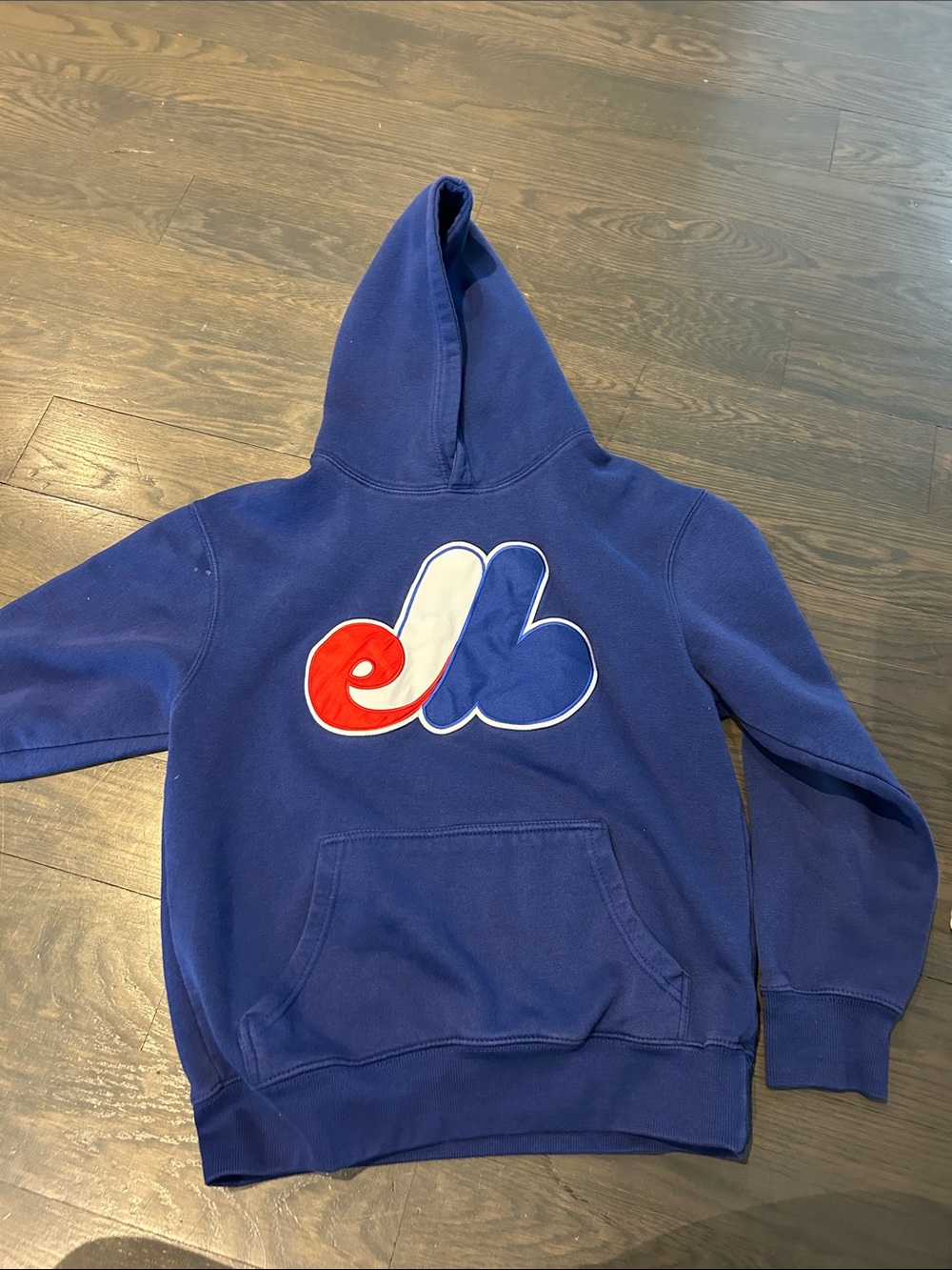 Source Unknown Blue Hoodie with Red and White Logo